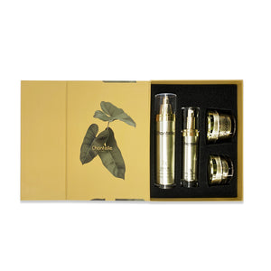 Promotion! Limited Edition Chantelle Gift Set – Now with a FREE Facial Cleanser